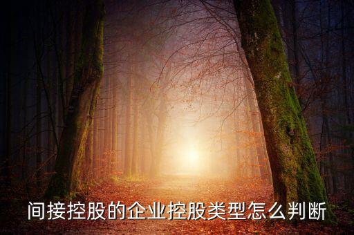 間接持股是什么意思，間接是什么意思