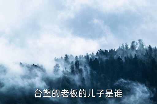 泉恩集團(tuán)王文祥和臺塑王永慶什么關(guān)系，塑料大王是誰