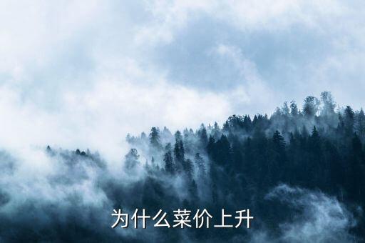 為什么菜價(jià)飛漲，菜價(jià)上漲的原因是什么