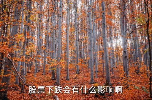 股市跌了有什么影響，股票下跌會(huì)有什么影響啊