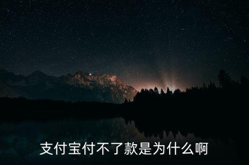 手機(jī)支付寶為什么不能付款，支付寶付不了款是為什么啊