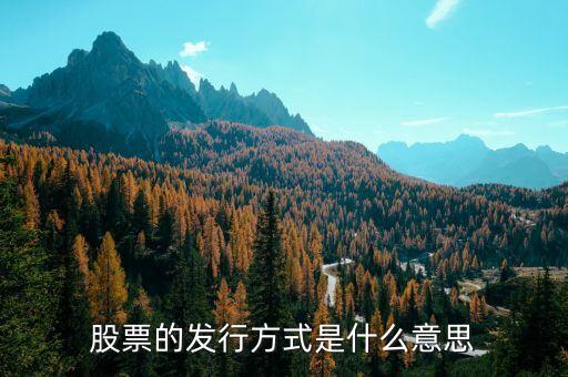 股票發(fā)售是什么意思，股票的發(fā)行方式是什么意思