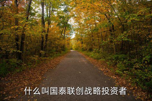 國航為什么選擇國泰作戰(zhàn)略投資者，什么叫國泰聯(lián)創(chuàng)戰(zhàn)略投資者