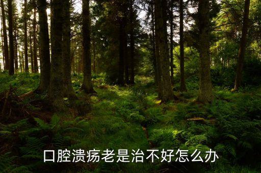 云南咖啡豆在什么時候采摘，云南小粒咖啡怎么吃要煮嗎