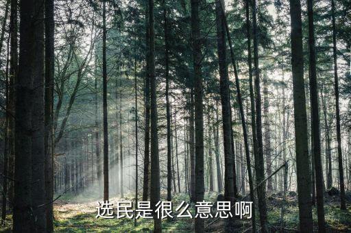 經(jīng)濟(jì)選民是什么，什么是海金選民