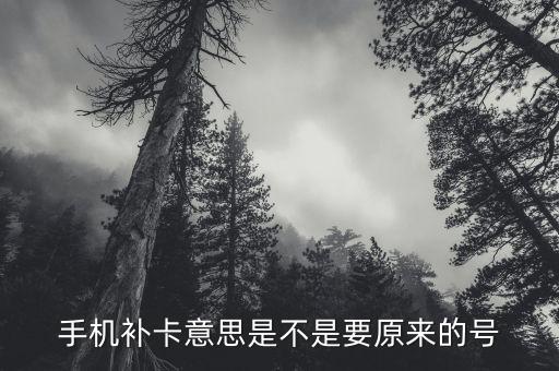 補(bǔ)辦電話卡什么意思，補(bǔ)卡 什么東東解釋一下