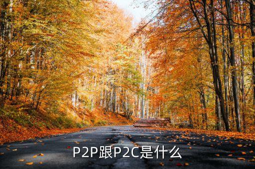 p2c平臺(tái)是什么，什么是P2P什么是P2C