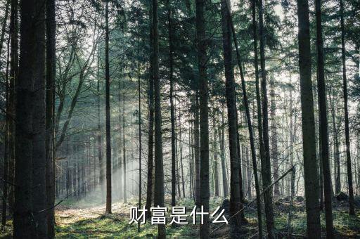 財(cái)富是什么莫奈，財(cái)富是什么