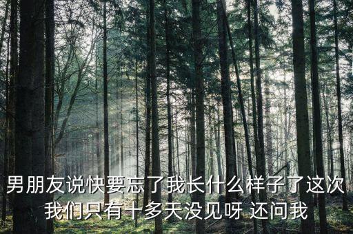 中國交通報快忘記老公長什么樣，最心酸請假條我都快忘記老公長什么樣子了