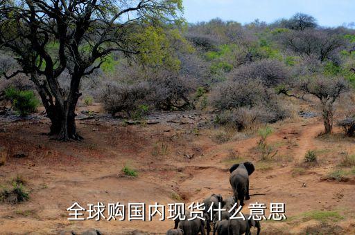 國內現貨是什么意思，像那種代購的國內應急現貨是什么意思