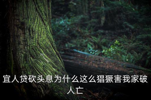 宜人貸為什么售罄，我的宜人貸為什么沒通過問題出在哪