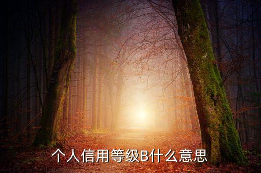 征信報(bào)告b級什么意思，中國人民銀行信用卡信用報(bào)告B級綜和評分837分啥意思