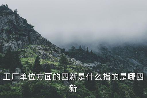 四新企業(yè)是什么，工廠單位方面的四新是什么指的是哪四新