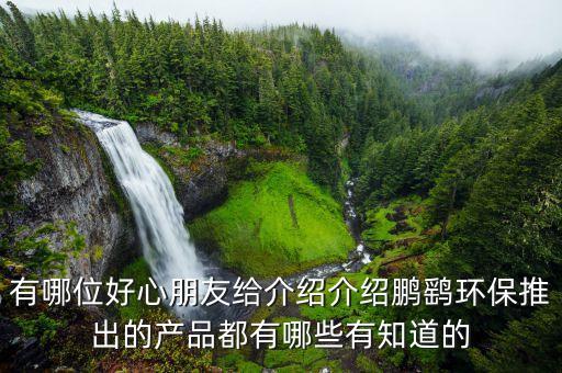 鵬鷂環(huán)保什么時(shí)候上市，我姑姑很想要了解鵬鷂環(huán)保推出的產(chǎn)品都有哪些有知道的么