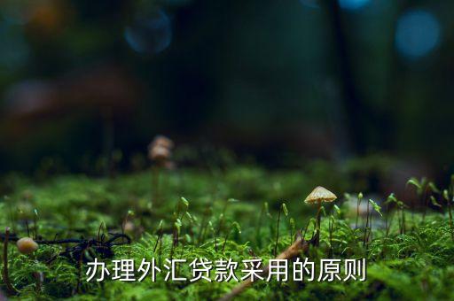 貸款三查指什么，銀行貸款三查不嚴(yán)能使貸款合同無效嗎