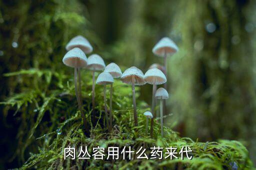 叢容是什么藥，肉叢容用什么藥來代