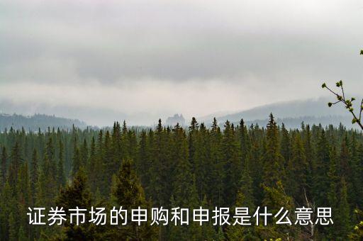 金融行業(yè)中的逐日申報(bào)是什么意思，外貿(mào)中到到銀行申報(bào)是什么意思申報(bào)什么呢哪位高人指點(diǎn)一下謝