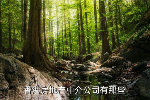 房地產(chǎn)經(jīng)紀(jì)在香港叫什么，香港房地產(chǎn)中介公司有那些