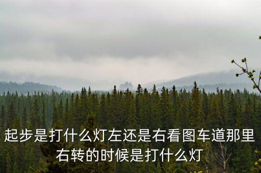 駕駛打右燈和左燈什么意思啊，起步是打什么燈左還是右看圖車道那里右轉(zhuǎn)的時候是打什么燈