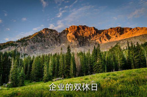 創(chuàng)業(yè)公司什么時(shí)候才會調(diào)為雙休，企業(yè)的雙休日