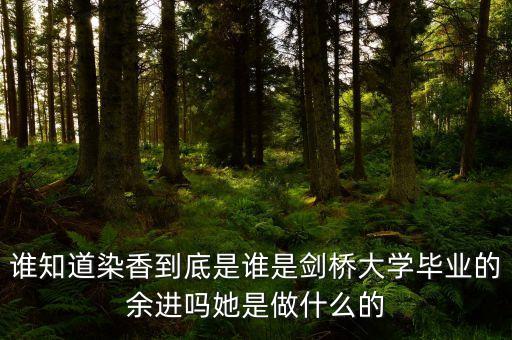 麥肯錫合伙人是什么，誰知道染香到底是誰是劍橋大學(xué)畢業(yè)的余進嗎她是做什么的