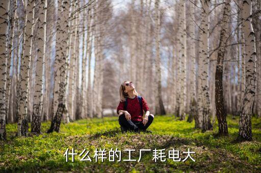 什么加工業(yè)費(fèi)電，什么樣的工廠耗電大