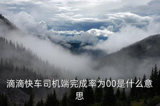 滴滴快車完成率是什么意思，滴滴快車成交率百分之零啥意思