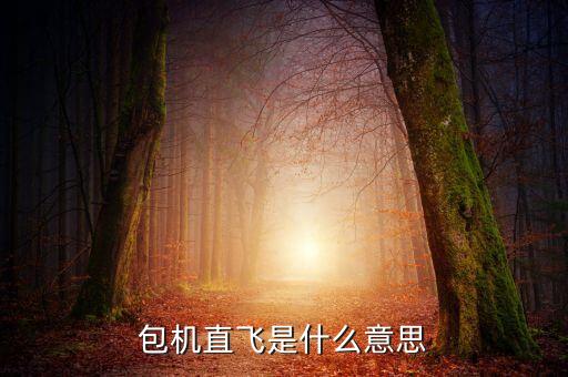 什么是包機(jī)航班，包機(jī)直飛是什么意思