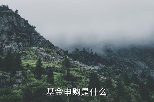 基金申購什么意思，基金支取基金申購什么意思