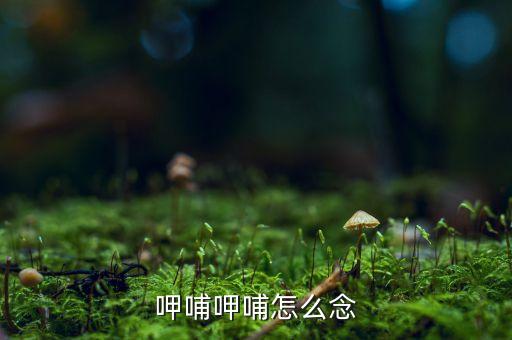呷哺什么意思，呷哺呷哺怎么念