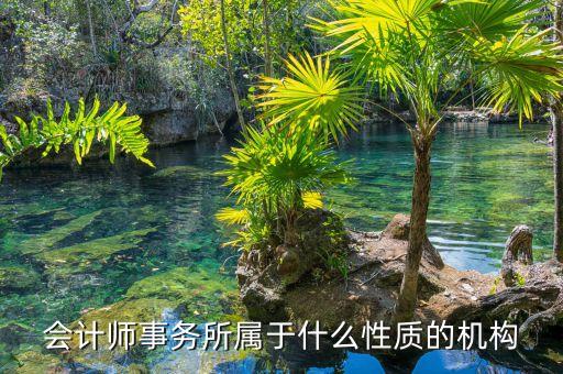 鄭商所期衍所屬于什么性質(zhì)，會(huì)計(jì)師事務(wù)所屬于什么性質(zhì)的機(jī)構(gòu)