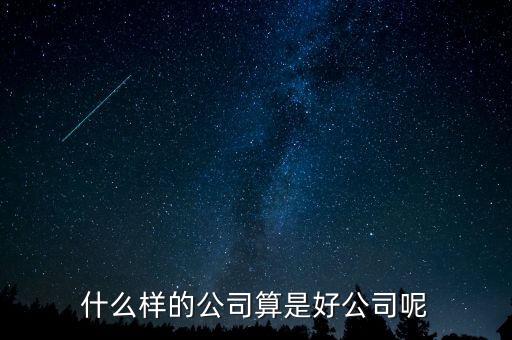 什么樣的公司是比較好的，有什么樣的公司是比較好的