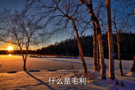 什么是產(chǎn)品毛利，什么是毛利怎么計(jì)算