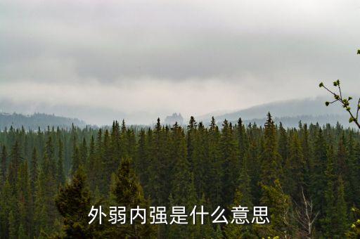 外弱內(nèi)強(qiáng)的是什么，外弱內(nèi)剛是什么意思
