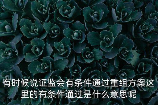 重組項目過會是什么意思，資產(chǎn)重組獲股東大會高票通過什么意思
