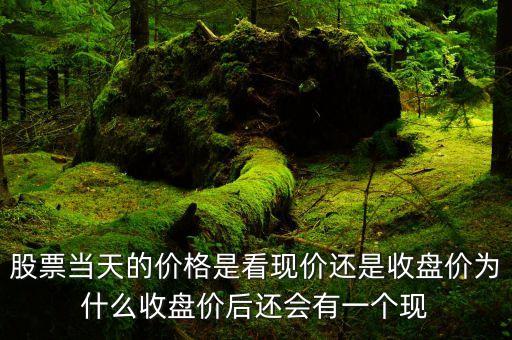 為什么到收盤后能知道有的票，為什么在12306看同一車次到一個(gè)地方顯示沒(méi)票到另一個(gè)地方就顯示