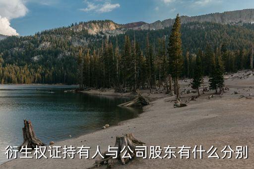 衍生權(quán)證是什么，衍生權(quán)證持有人與公司股東有什么分別