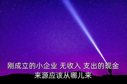 小企業(yè)主為什么沒現(xiàn)金，剛成立的小企業(yè) 無收入 支出的現(xiàn)金來源應(yīng)該從哪兒來