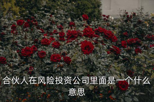 vc合伙人是什么，風(fēng)險投資公司中的合伙人和經(jīng)理人都是什么意思