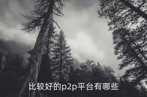 什么p2p平臺比較靠譜，請問國內(nèi)P2P平臺哪家比較安全可靠點(diǎn)想了解下