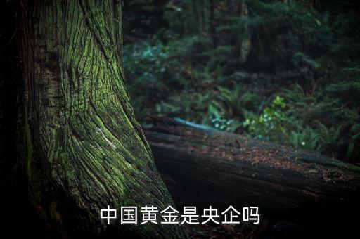 中國黃金為什么是央企品牌，中國黃金在各城市的店鋪是中國黃金直營的還是加盟的如果是直營