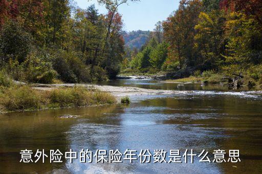 保險數(shù)目指什么，意外險中的保險年份數(shù)是什么意思