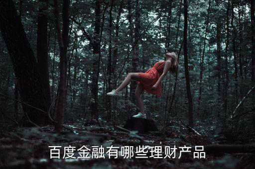 百度有什么理財產(chǎn)品，百度金融有哪些理財產(chǎn)品