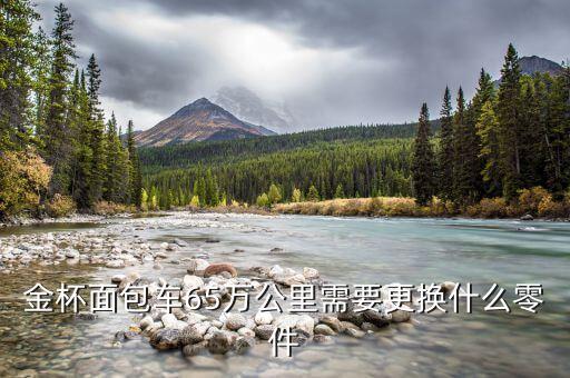 金杯車輛廠動(dòng)遷后蓋什么，金杯面包車65萬公里需要更換什么零件