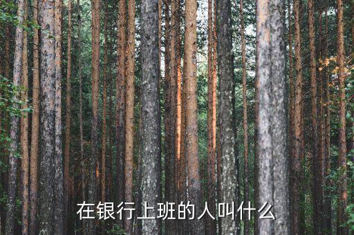 金融上班叫什么，在銀行上班的人叫什么