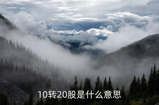 股票里的十轉(zhuǎn)二十什么意思，股票十送二十是什么意思