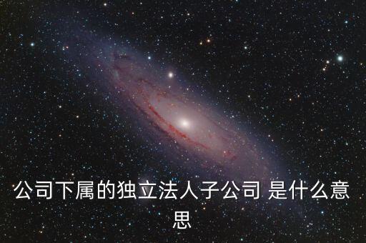下屬子公司是什么意思，母公司集團(tuán)公司是有限責(zé)任公司下屬子公司有的是有限責(zé)任公
