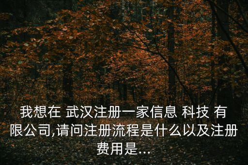 武漢安碩織信網絡科技有限公司