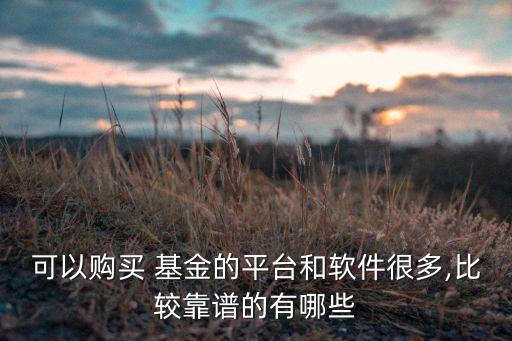 可以購(gòu)買(mǎi) 基金的平臺(tái)和軟件很多,比較靠譜的有哪些