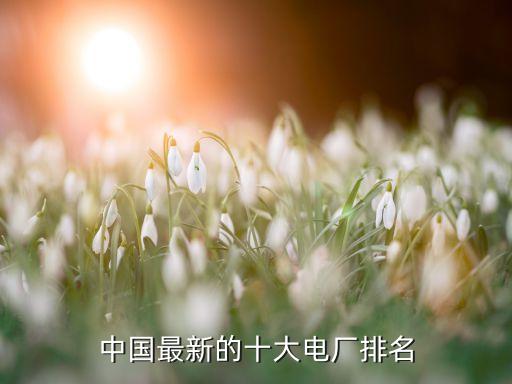 ?；涬娏ν顿Y